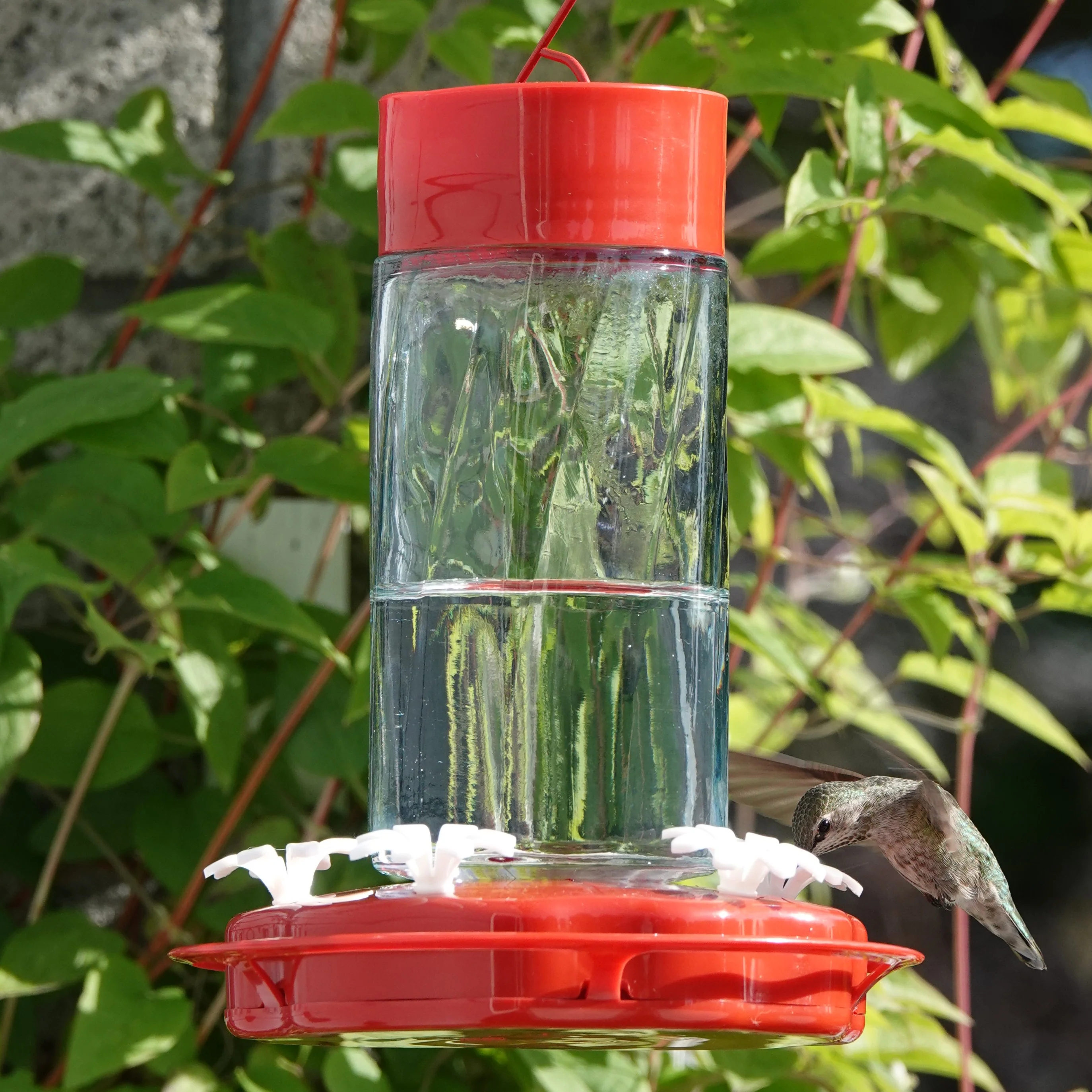 Scarlet Swirl Glass Gravity Hummingbird Feeder - Image 10