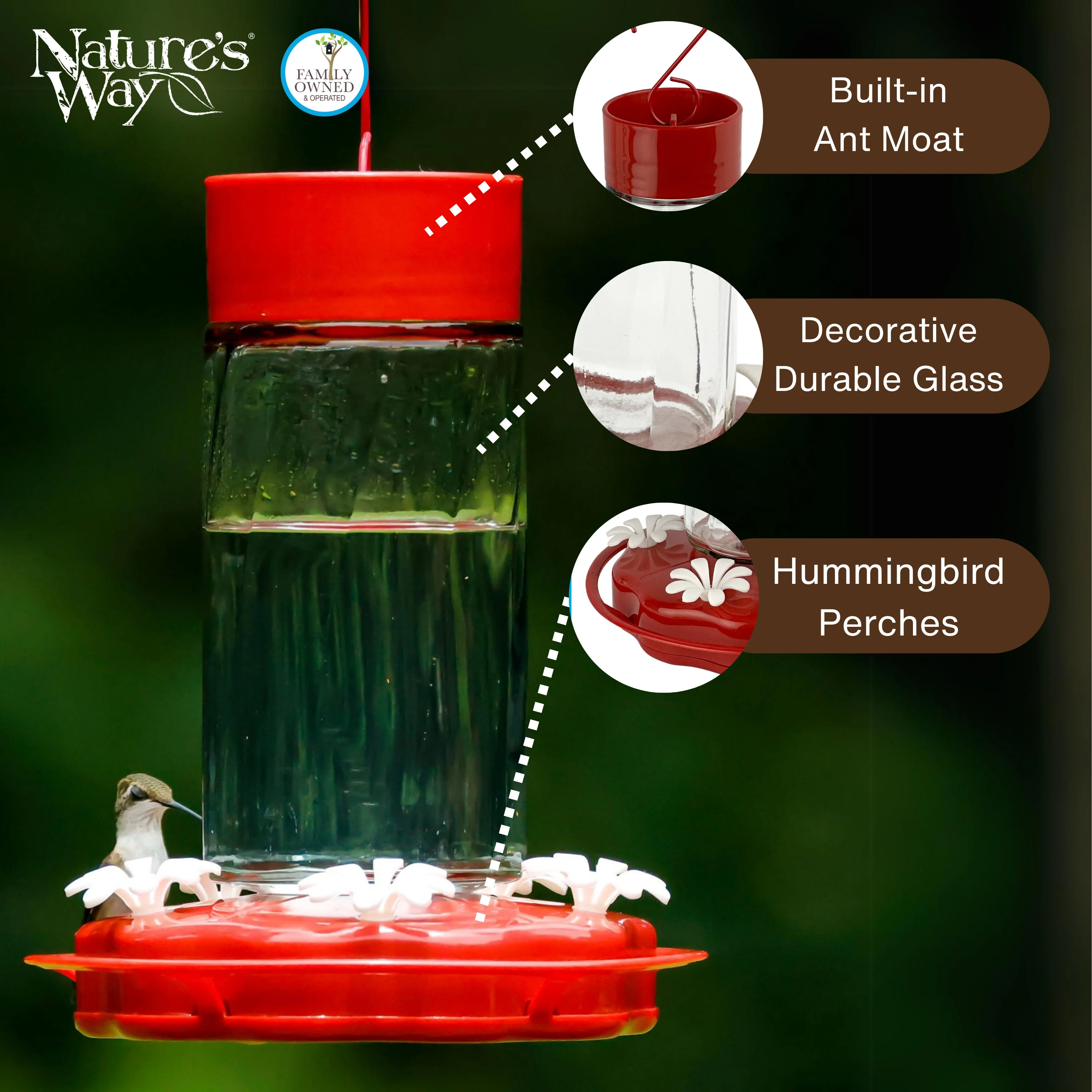 Scarlet Swirl Glass Gravity Hummingbird Feeder - Image 3