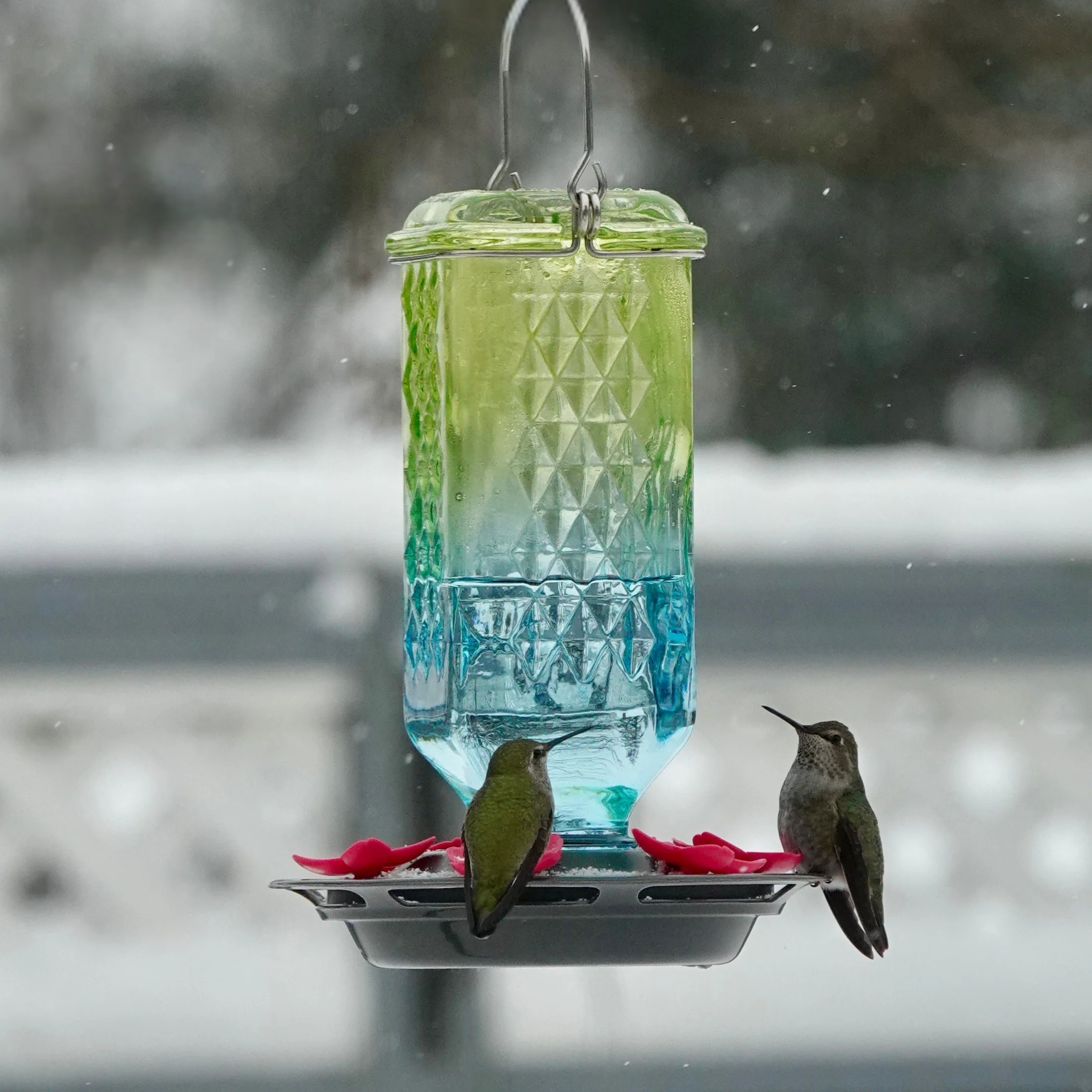 Seafoam Ombre Column Antique Glass Gravity Hummingbird Feeder - Image 8