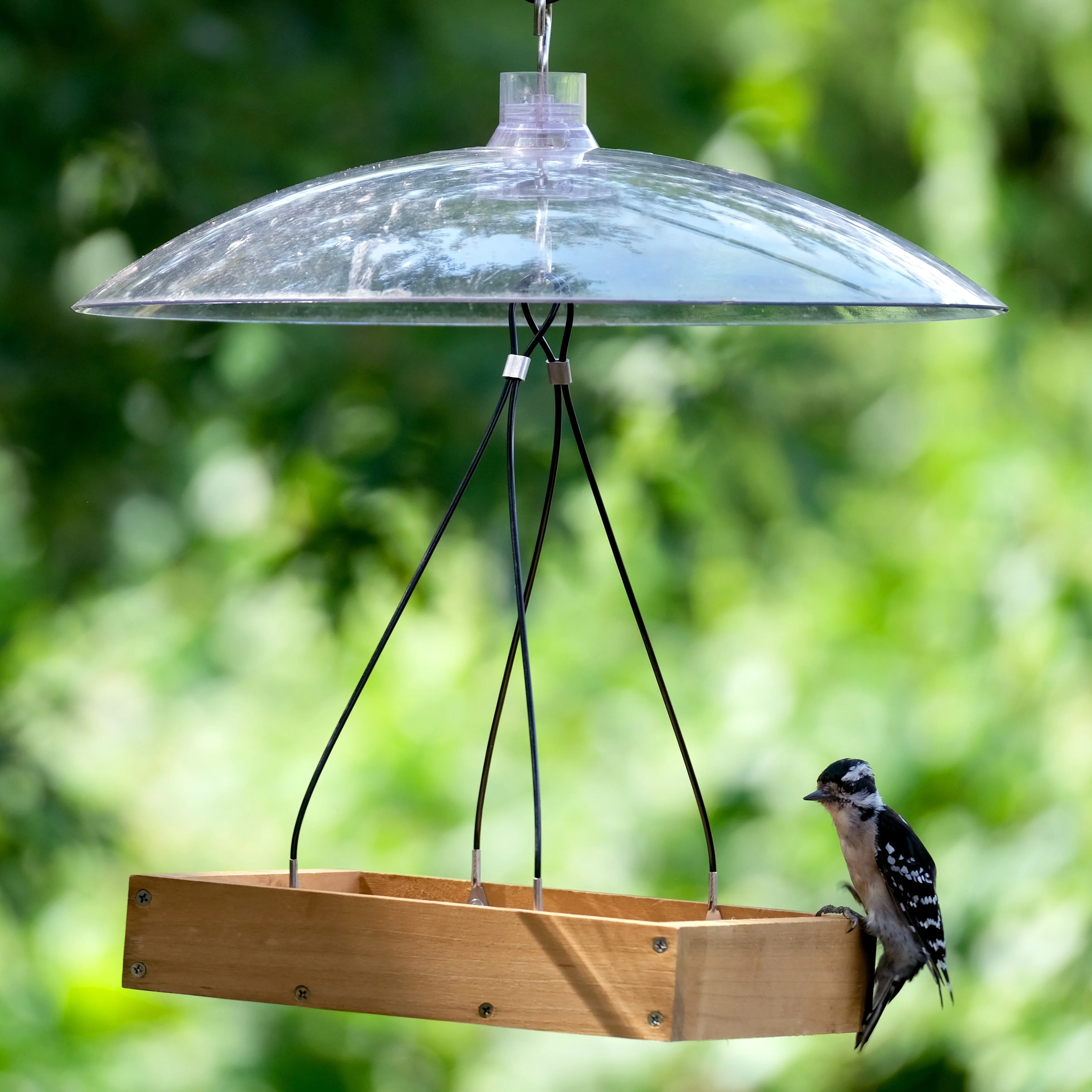 Squirrel Shield Dual-Mount Transparent 16" Squirrel Baffle - Image 11