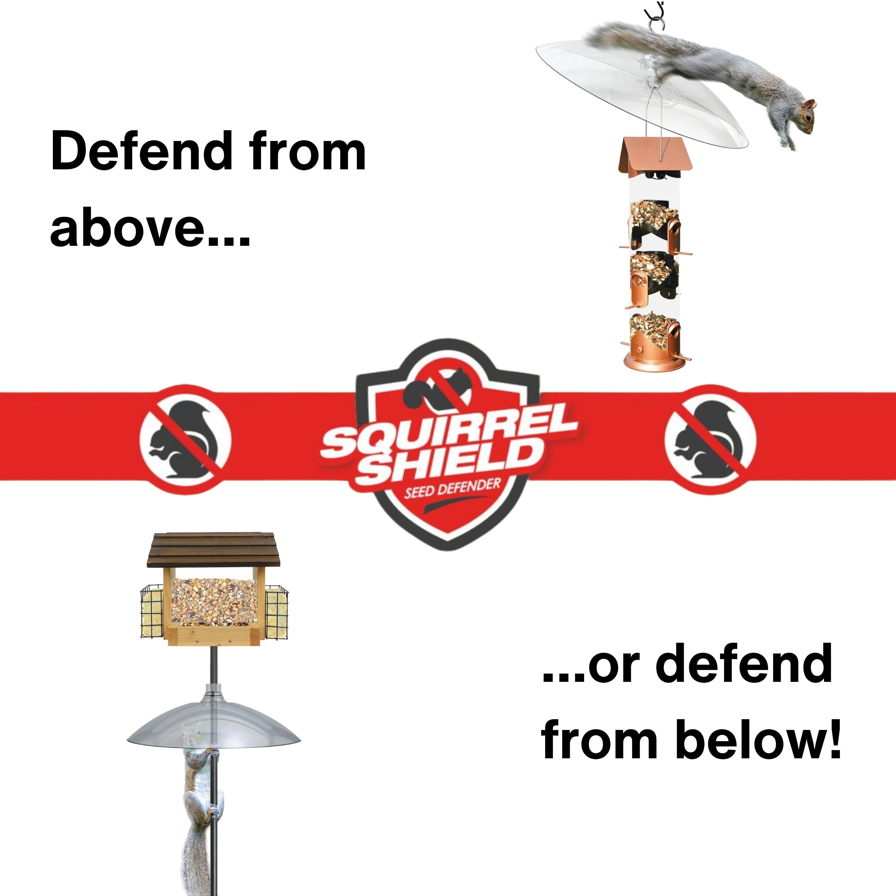 Squirrel Shield Dual-Mount Transparent 16" Squirrel Baffle - Image 3