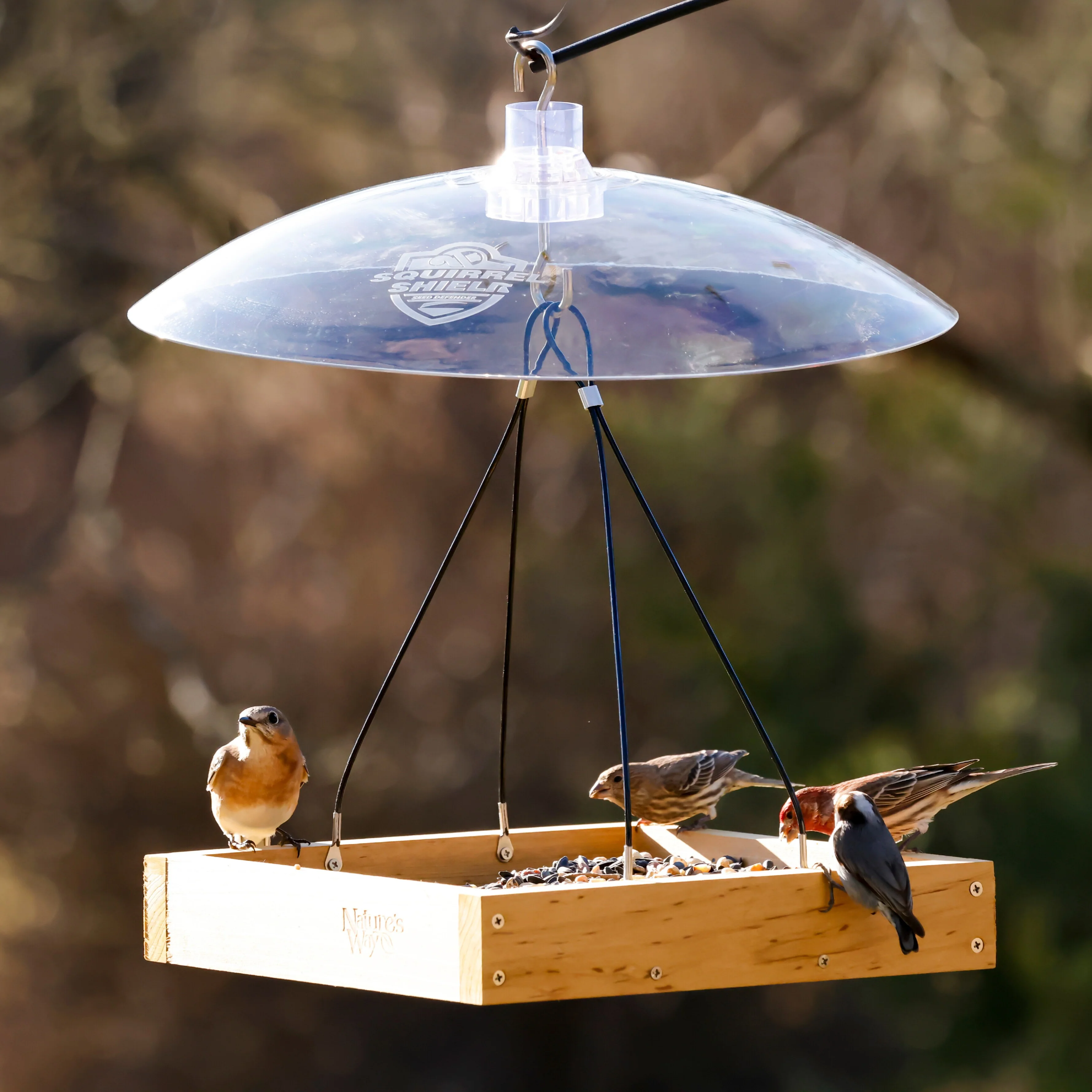 Squirrel Shield Dual-Mount Transparent 16" Squirrel Baffle - Image 8