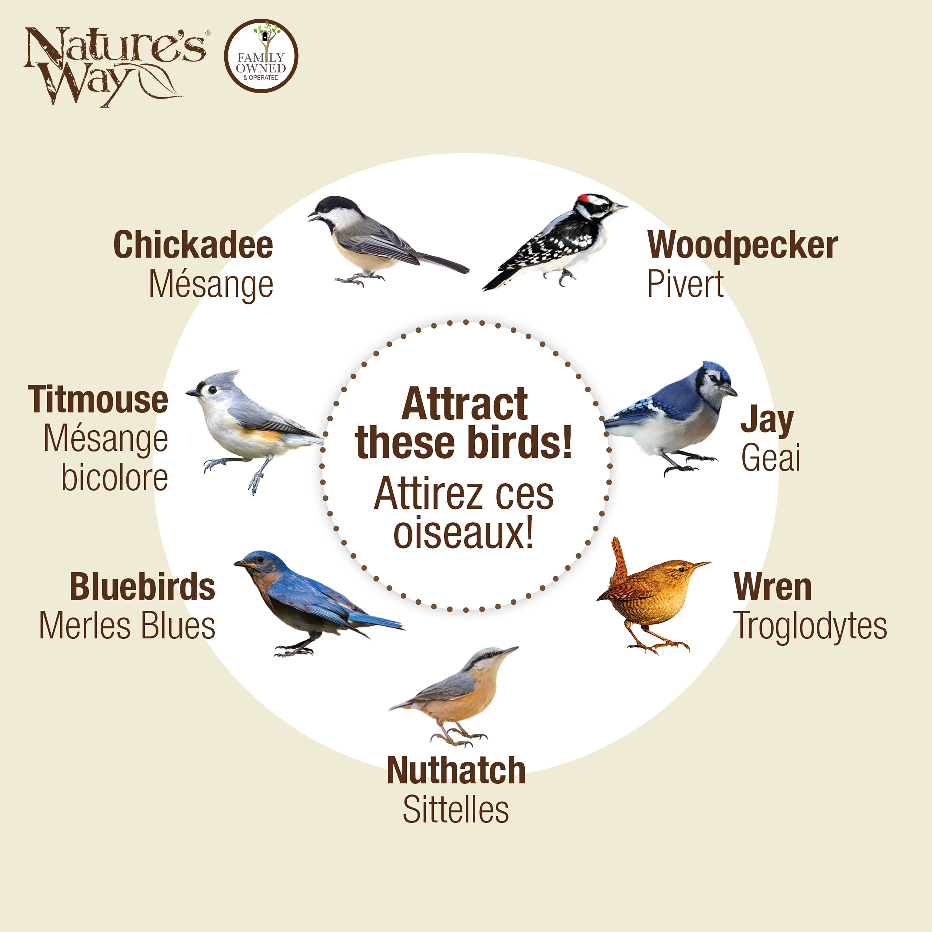 Metal Four Cake Suet Cage Bird Feeder w/ Roof - Four Cake - Image 5