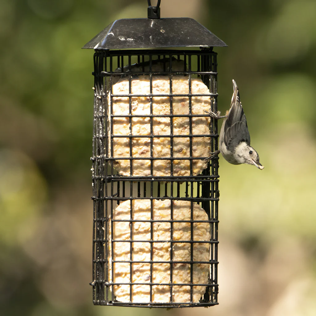 Metal Four Cake Suet Cage Bird Feeder w/ Roof - Four Cake - Image 7