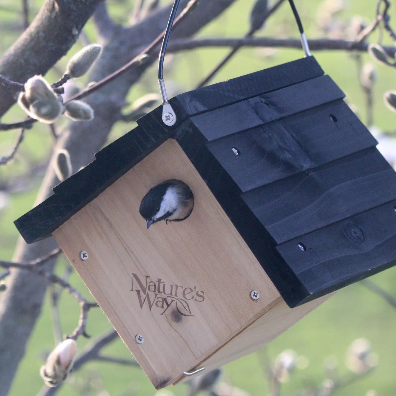 Traditional Cedar Wren House with Clean-Out Door - Image 7