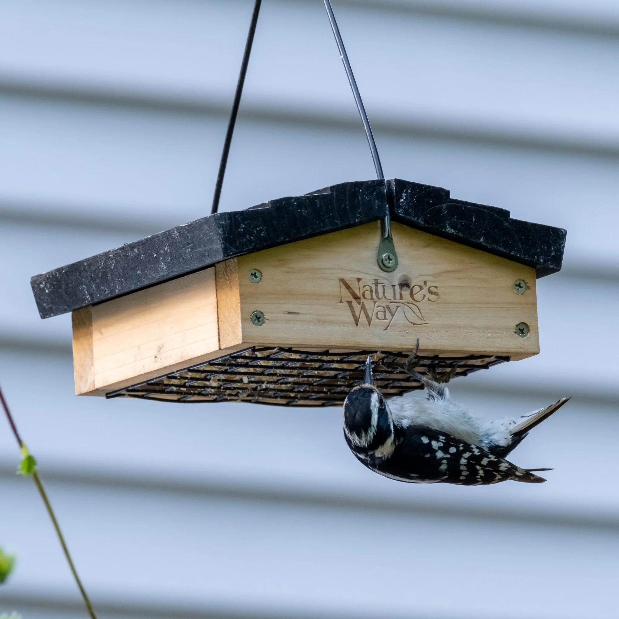 Cedar Upside-Down Suet Feeder - Image 7