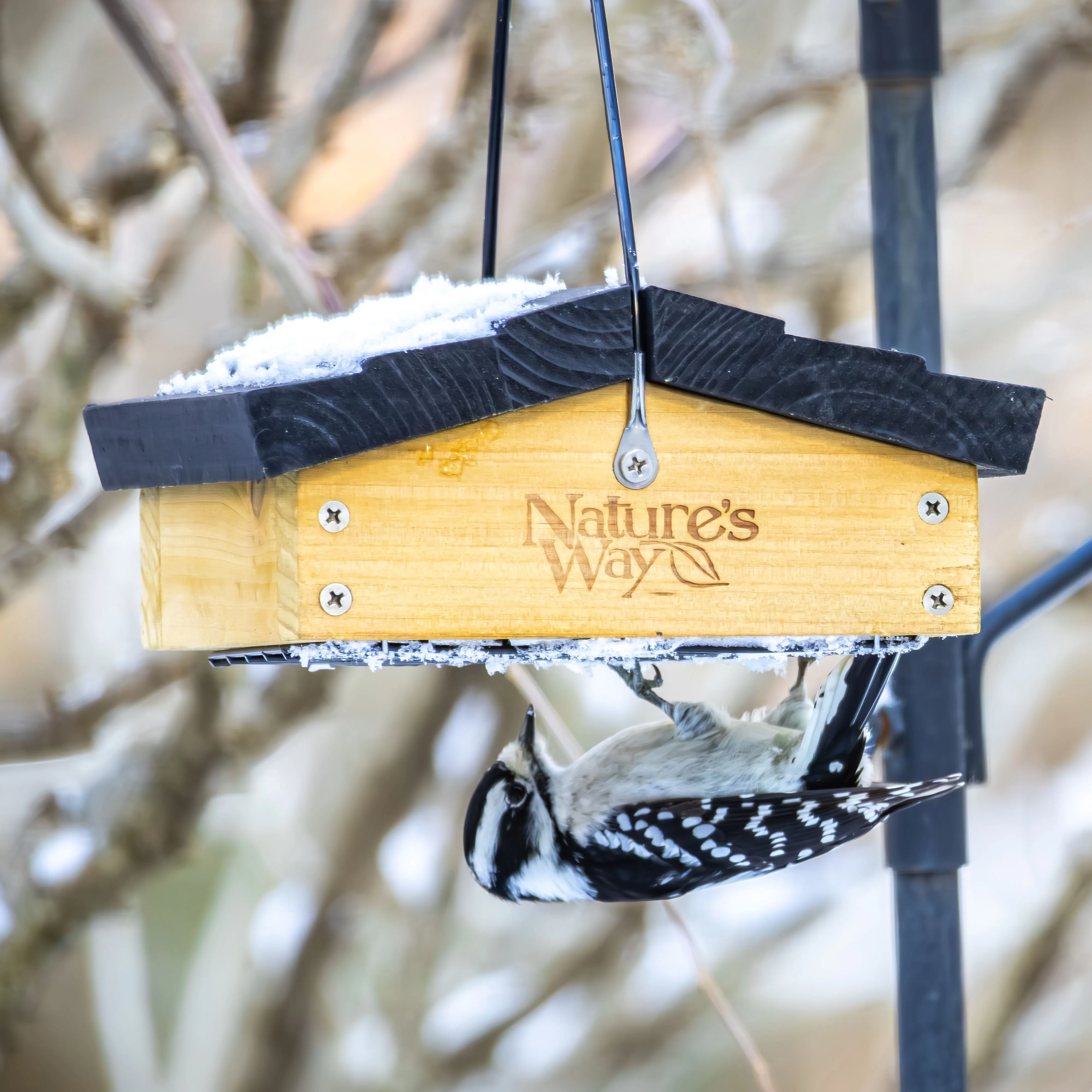 Cedar Upside-Down Suet Feeder - Image 8
