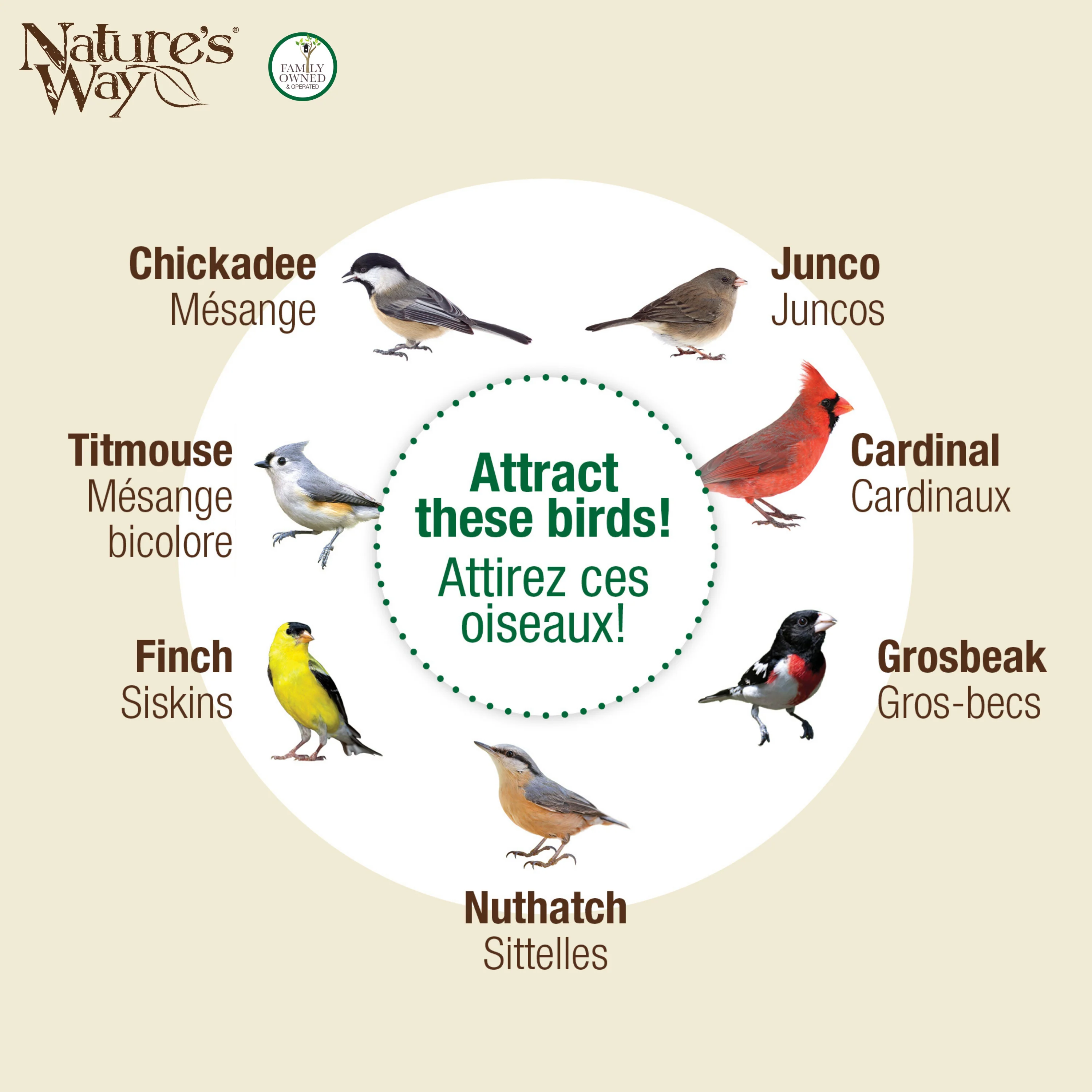 Wide Deluxe Easy Clean Tube Feeder - Image 5