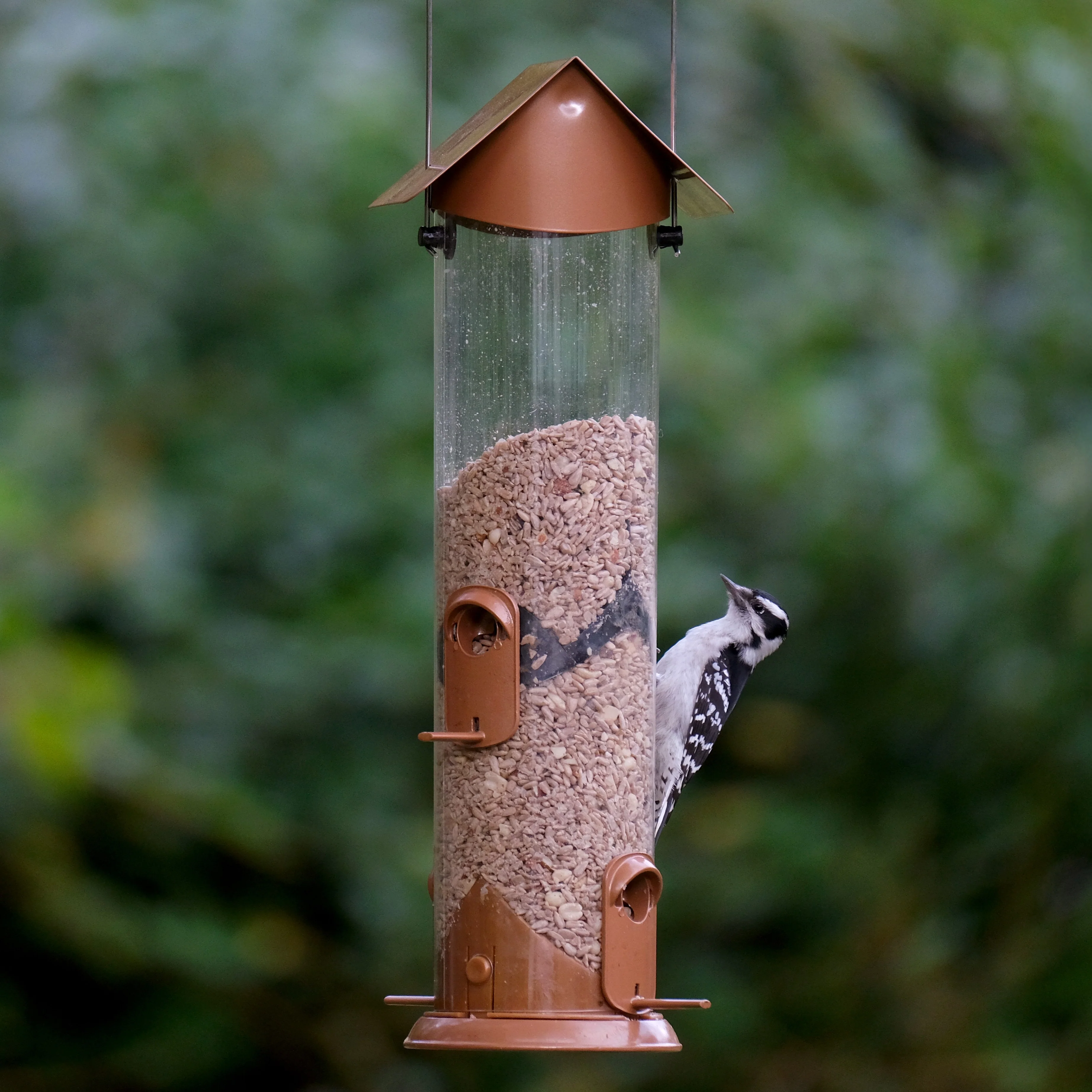 Wide Deluxe Easy Clean Tube Feeder - Image 7