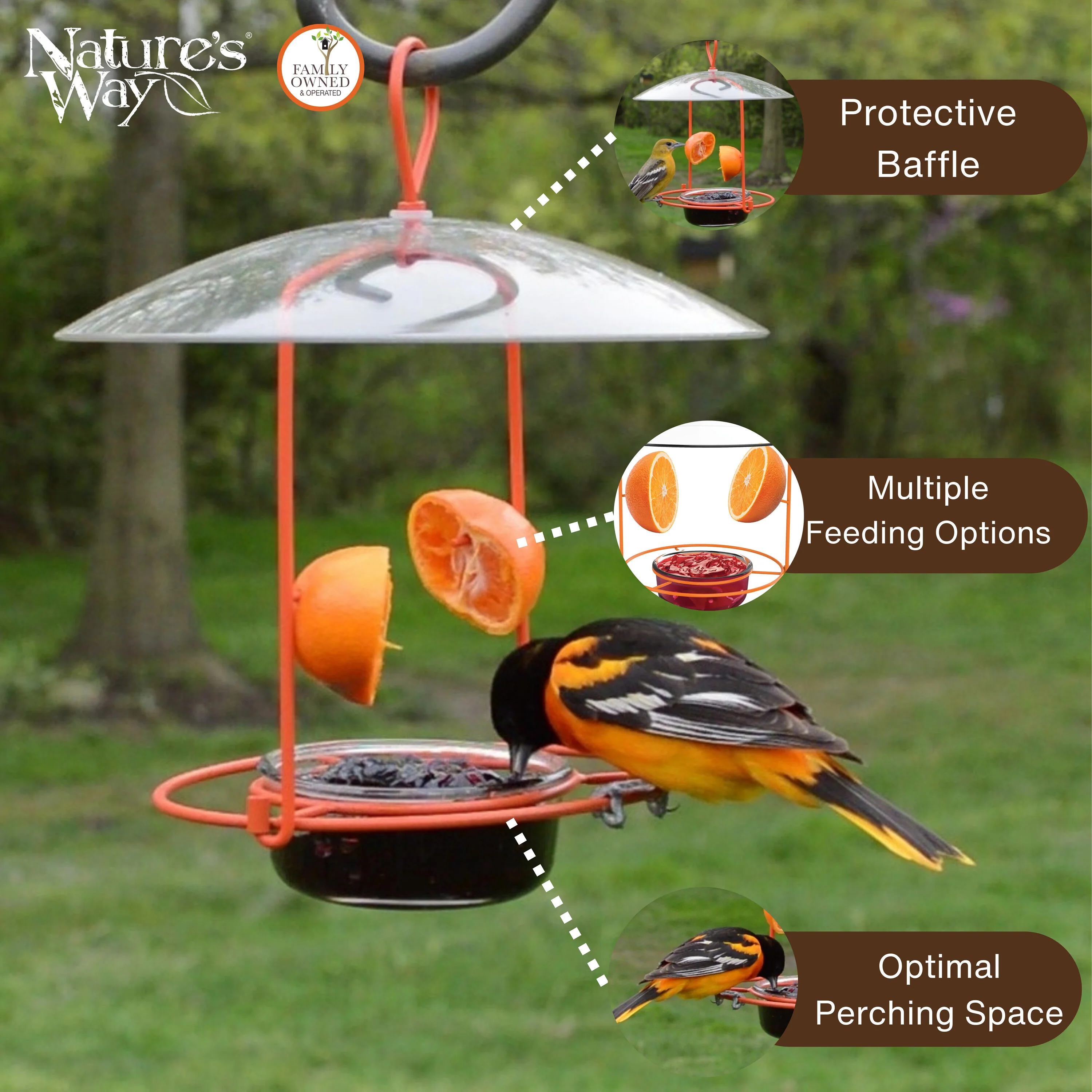 Wire and Glass Oriole Feeder W/ Protective Baffle - Image 3
