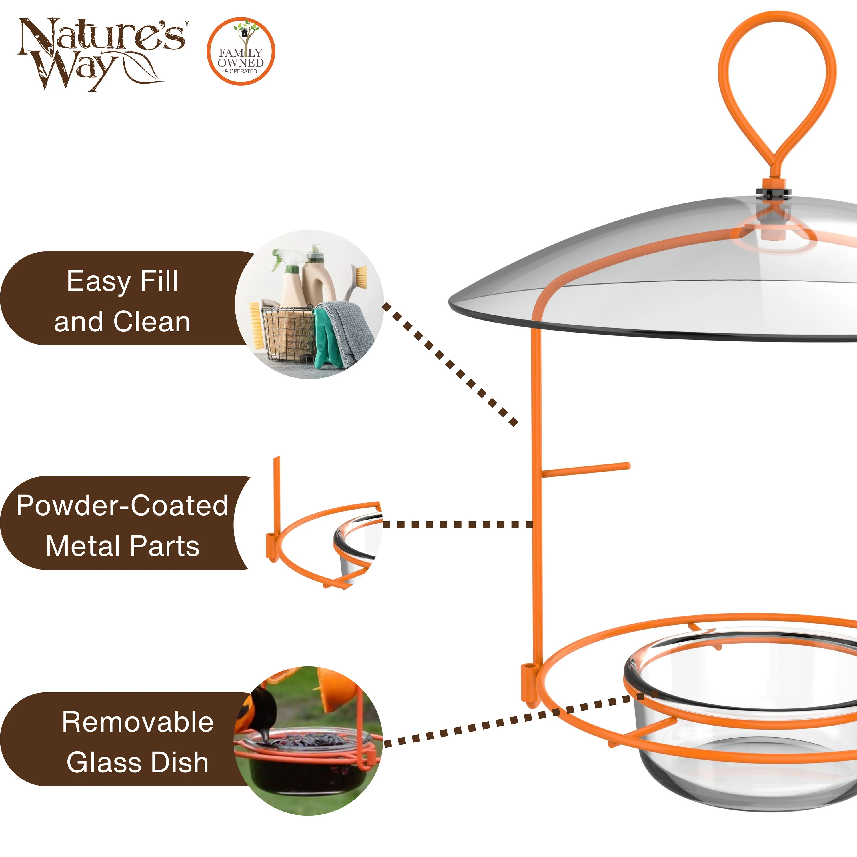 Wire and Glass Oriole Feeder W/ Protective Baffle - Image 4