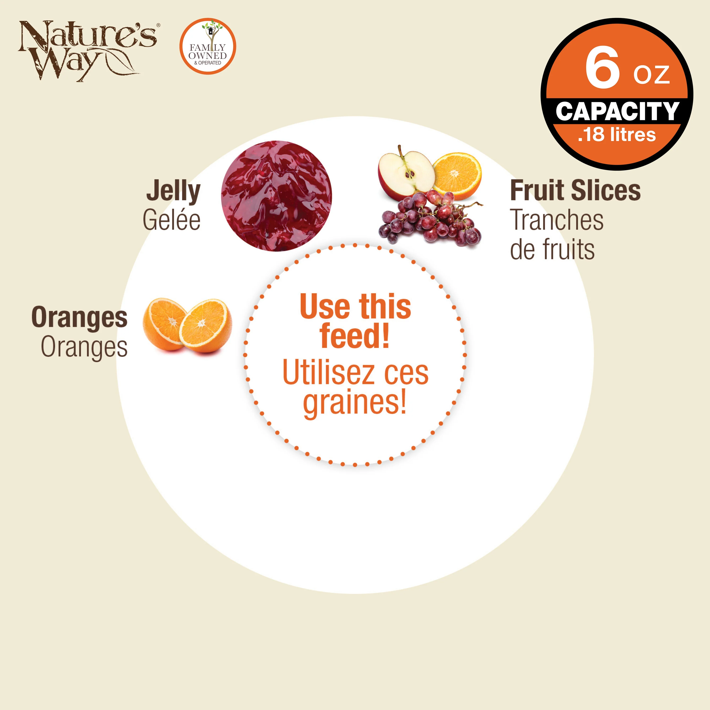 Wire and Glass Oriole Feeder W/ Protective Baffle - Image 6